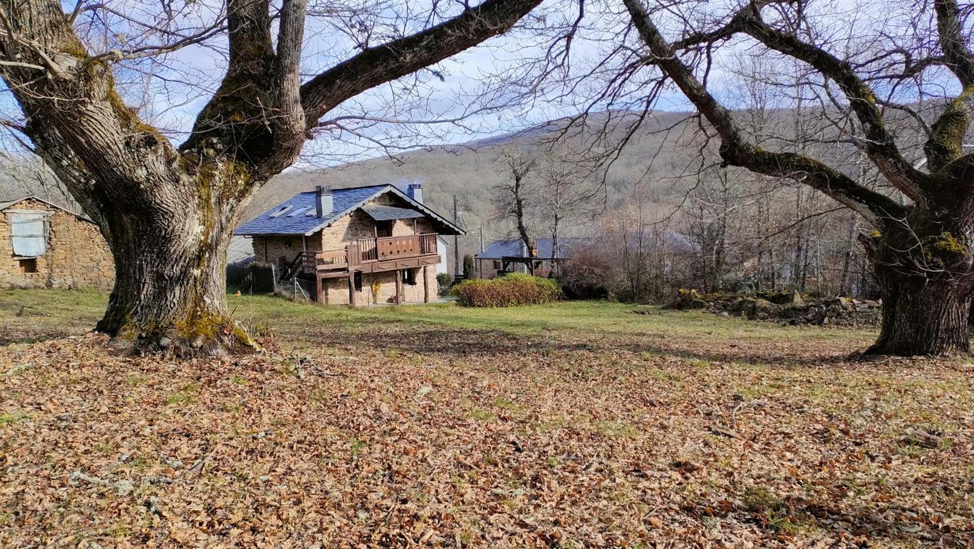 فيلا Villarino de Sanabriaفي La Era De Sanabria المظهر الخارجي الصورة