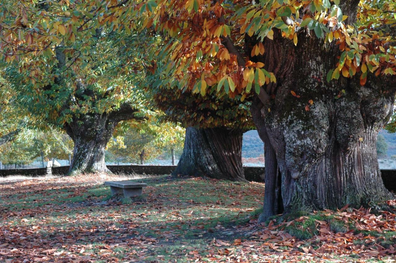 فيلا Villarino de Sanabriaفي La Era De Sanabria المظهر الخارجي الصورة